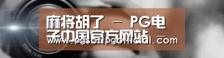 公司动态